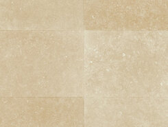 Кремовый ракушечник L1256-05486