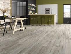 Long Island HD-536
