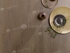 Olbia Oak HP-560