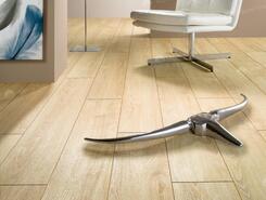 Canaries Oak HS-621
