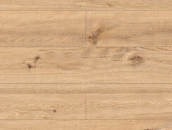 Oak Poprad 64634