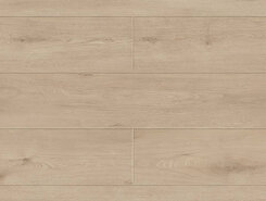 Abbi 1006-1