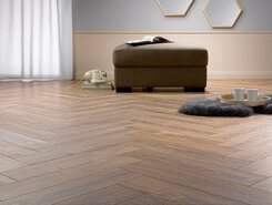 Balearic oak H12-622 