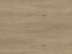 Ecanta 1002-5