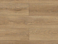 Gaula 1022-21