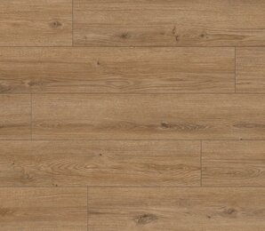Фото Дуб Катам 62754 classen
