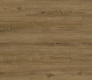 Фото Дуб Котор 62755 classen