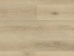 Solem 1022-10