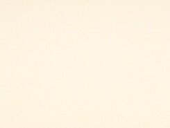 Плитка Rev.VISION BEIGE VSN461N 26x61