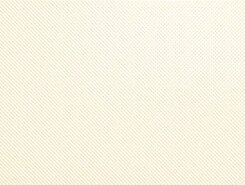 Плитка Rev.VISION TEXTURE BEIGE VSN464N 26x61