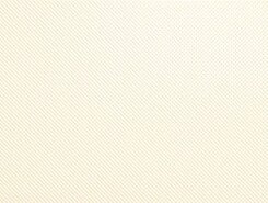 Плитка Rev.VISION TEXTURE BEIGE VSN464N 26x61