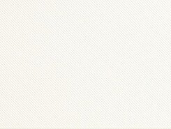Плитка Rev.VISION TEXTURE WHITE VSN864N 26x61