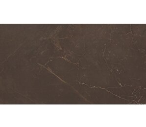 Фото настенная Altacera Fiore Crema Marble Marron WT9MRB21 249х500 altacera