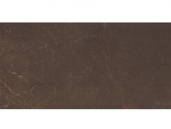 Плитка настенная Altacera Flexion Marble Marron WT9MRB21 249х500