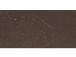 Плитка настенная Altacera Imperial Marble Marron WT9MRB21 249х500