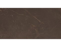 настенная Altacera Imperial Marble Marron WT9MRB21 249х500