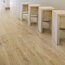Logwood фото4