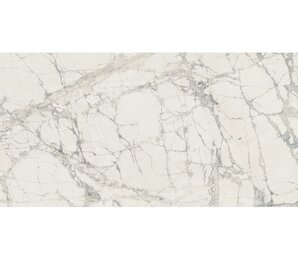 Фото Magnum Prexious Mountain Treasure 6mm Glossy 120x280 Rex