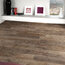Sequoia фото4