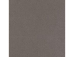 Плитка Arkshade Lead 60x60 +26755