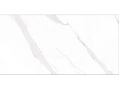 Плитка Statuary Керамогранит Blanco 60x120 полированный