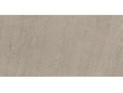 Плитка Wise Silver Grey Ret 60х120/Вайз Сильвер Грей Рет 60х120 610010001407