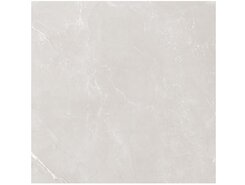 Vitrum Grey полированный 60x60