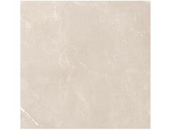 Vitrum Taupe матовый 60x60