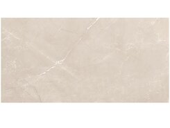 Vitrum Taupe полированный 60x120