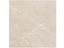 Vitrum Taupe полированный 60x60