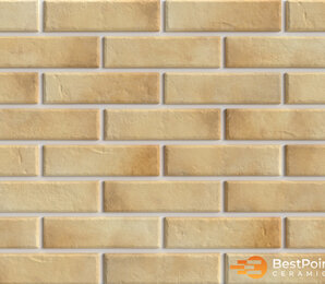 Фото Retro Brick Salt 245x65x8,5 bestpoint