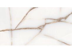 Плитка favorite onyx white glossy 60x120