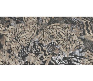 Фото SN COLORADO BROWN DÉCOR 60x120 itaca