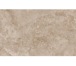 Фото Mystical Charm Camel Relief Matt 60x120 staro