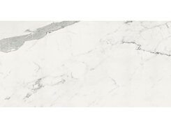 Плитка statuario reactive 3d rett 60x120