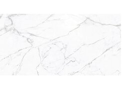 Плитка statuario fine carving r 60х120