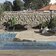 Travertino Brescia Matt. Rect 60х60 фото8