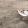 club beige rett. 165x1000 фото3