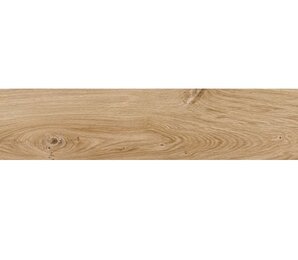 Фото COPENHAGUE FRESNO RECTLEV 20Х114 Ape Ceramica