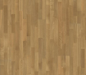 Фото Дуб SELECT 3S 2G (3,41м2) karelia