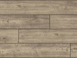 Дуб дымчатый IM1993