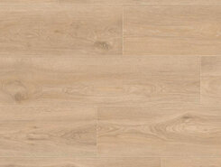 Дуб Кедровый IM8467