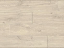 Кубинский дуб CLH1655