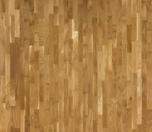 Фото Дуб LIVING 3S 2G (3,41 м2) polarwood