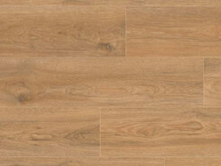 Дуб Скалистый IM8466