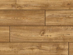 Дуб южный IM1994