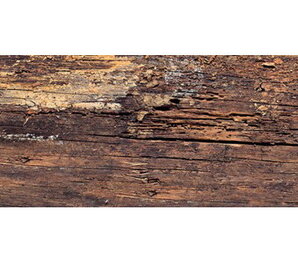 Фото СП413 DADO Century Rosso 21.25*85 Dado Ceramica