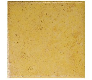 Фото Rumagna SP13 Giallo 10x10 Del Conca
