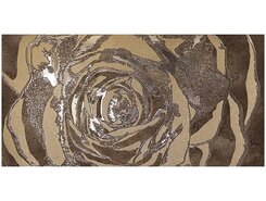 Dec.Omnia bronze 60x120