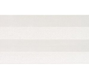 Фото Celine Riga 22,5x60 Venus